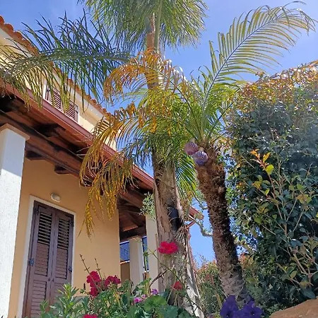 فيلة Agora *