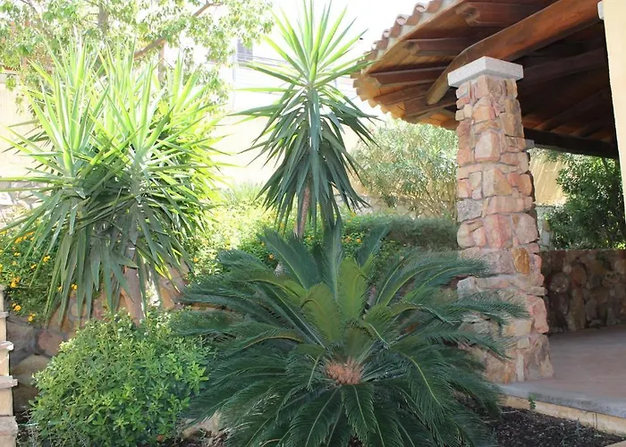 Agora 维拉西米乌斯